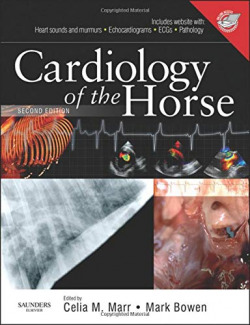 Cardiology of the horse
