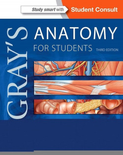 GRAY'S ANATOMY FOR STUDENTS.(WITH STUDENT CONSULT ONLINE ACCESS.(3RD EDITION)
