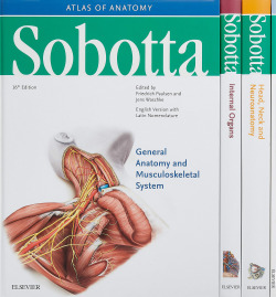 SOBOTTA ATLAS OF ANATOMY