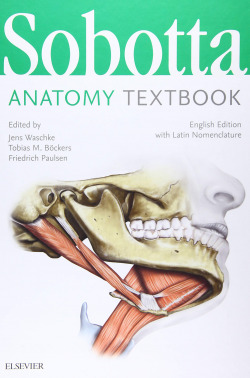 SOBOTTA ANATOMY TEXTBOOK