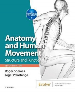 ANATOMY AND HUMAN MOVEMENT