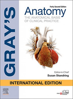 Anatomy