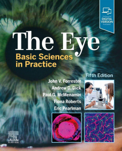 THE EYE