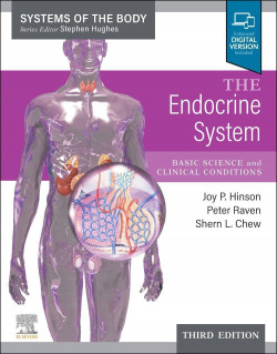 The endocrine system