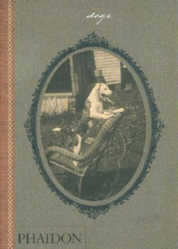 DOGS, COLLECTED BY CATHERINE JOHNSON