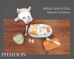 BREAD AND A DOG
