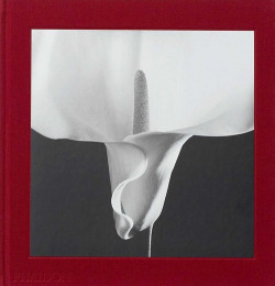 MAPPELTHORPE FLORA: THE COMPLETE FLOWERS