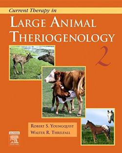 Current therapy in large animal theriogenology