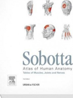 Sobotta Tables of Muscles, Joints and Nerves, English/Latin