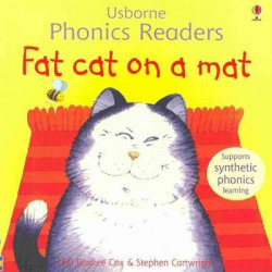 Fat cat on a mat