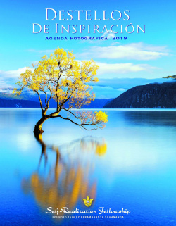 DESTELLOS DE INSPIRACIONES
