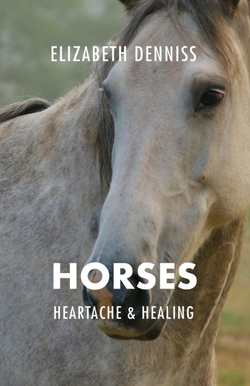Horses, Heartache