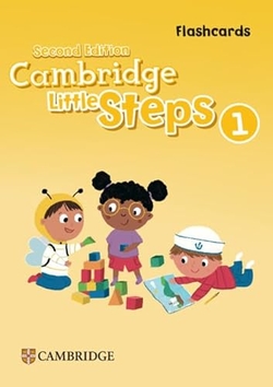 CAMBRIDGE LITTLE STEPS LEVEL 1 FLASHCARDS