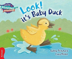 Look! It'S Baby Duck Red Band