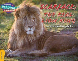 Scarface: The Real Lion King Gold Band