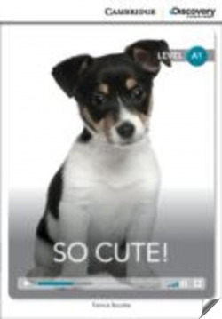So cute! beginning book with online access
