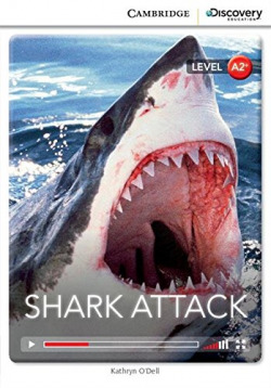 Cdir Low-Int Shark Attack Bk/Online