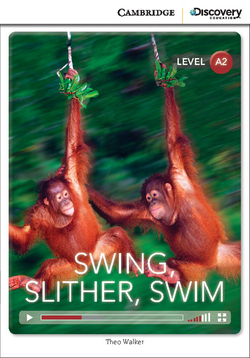 Cdir High-Beg Swing Slither Swim Bk/Online