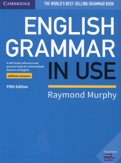 ENGLISH GRAMMAR IN USE WITHOUT ANSWERS 5TH EDITION