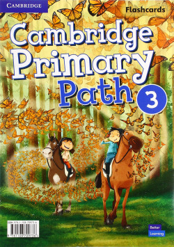 PRIMARY PATH LEVEL 3 FLASHCARDS