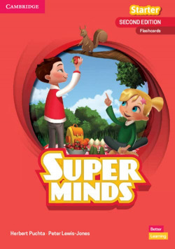 SUPER MINDS START FLASHCARDS