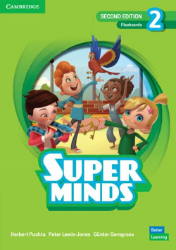 SUPER MINDS 2 FLASHCARDS