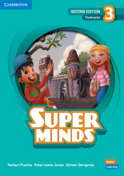 SUPER MINDS 3 FLASHCARDS