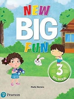 BIG FUN 3 REFRESH READERS
