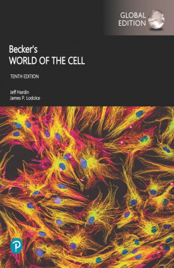 BeckerÆs world of the cell