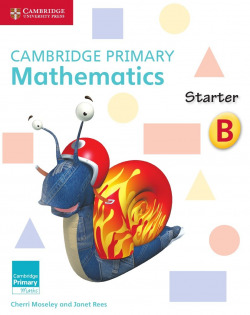 Camb Primary Math Starter Activity Book B