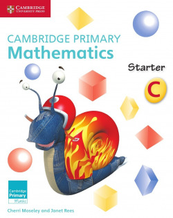 Camb Primary Math Starter Activity Book C