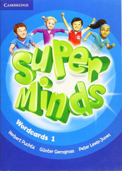 Super Minds Level 1 Wordcards (Pack of 90)