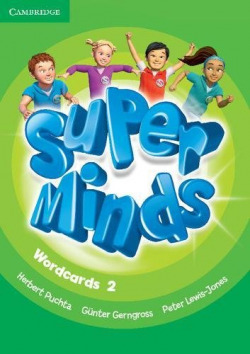 Super Minds Level 2 Wordcards (Pack of 81)