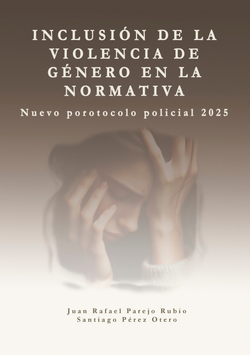 Inclusión de la violencia de género en la normativa.