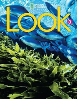 Look Level 3 AmE Workbook