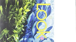 Look Level 3B Combo Book Split (BrE)