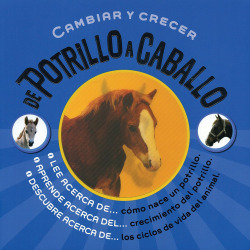 De potrillo a caballo. cambiar y crecer