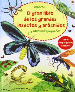 Gran libro de grandes insectos y aracnidos