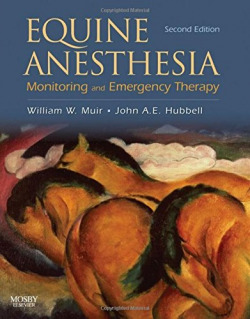 EQUINE ANESTHESIA