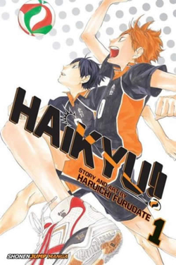 (1) HAIKYU!!