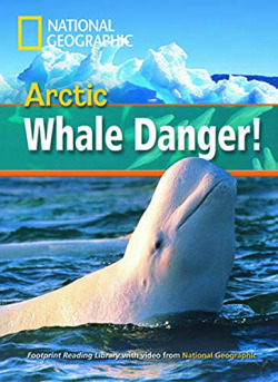 Arctic whale danger! +dvd a2