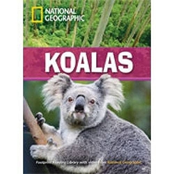 KOALAS + DVD (ADVANCED C1)
