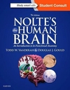 NOLTE'S THE HUMAN BRAIN.(AN INTRODUCTION TO ITS FUNCTIONAL ANATOMY.(7TH EDITION)