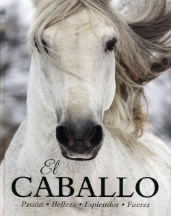 El caballo