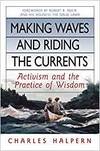 MAKING WAVES AND RIDING THE CURRENTS. ACTIVISM AND THE PRACTICE OF WISDOM.
