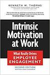 INTRINSIC MOTIVATION AT WORK