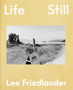 Life Still