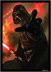 Fundas Ilustradas - Power Of The Dark Side