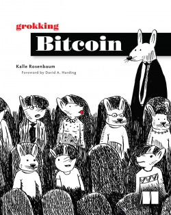 Grokking bitcoin