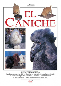 EL CANICHE